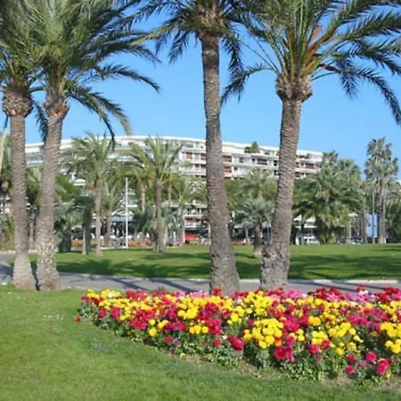 Palm Parking, Clim, Wifi 2' A Pieds *