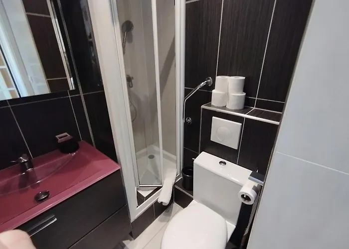 Palm Parking, Clim, Wifi 2' à Pieds Cannes