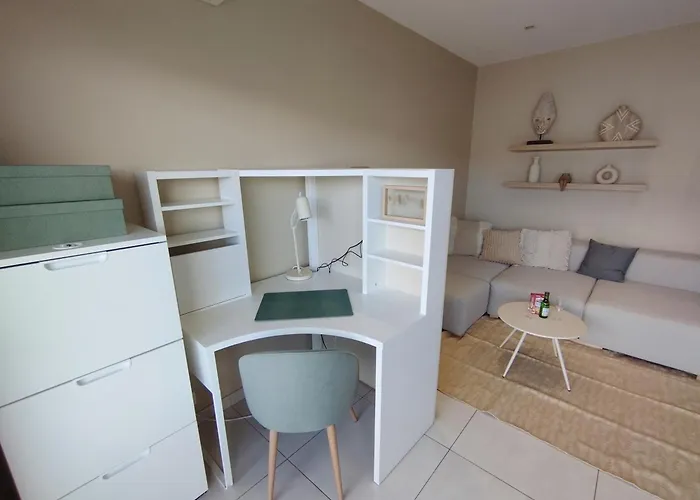 Palm Parking, Clim, Wifi 2' A Pieds * Cannes